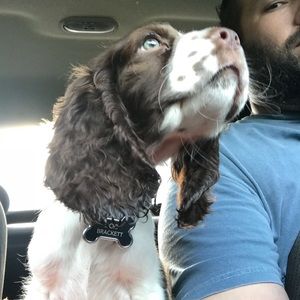 Meet your Posher, Benjamin